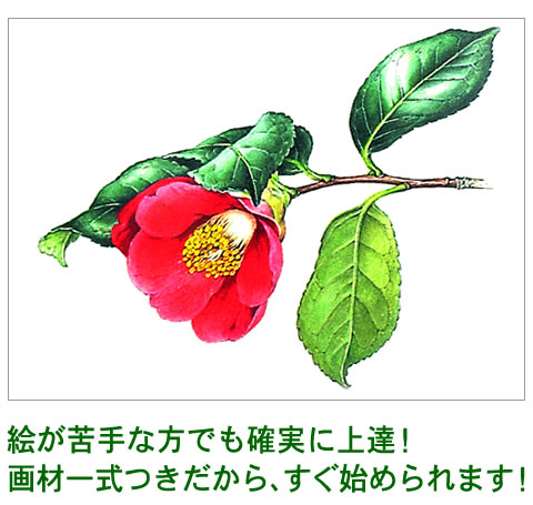 植物画講座